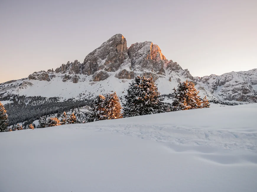 Naturparks Fanes-Sennes-Prags und Puez-Geisler | Chalet Löm Verschneite Berggipfel und Tannen im warmen Licht der tief stehenden Sonne