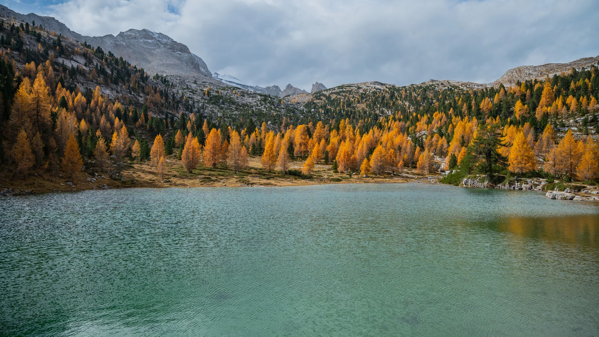Türkisfarbener Bergsee vor herbstlich goldenen Bäumen und felsigen Gipfeln
