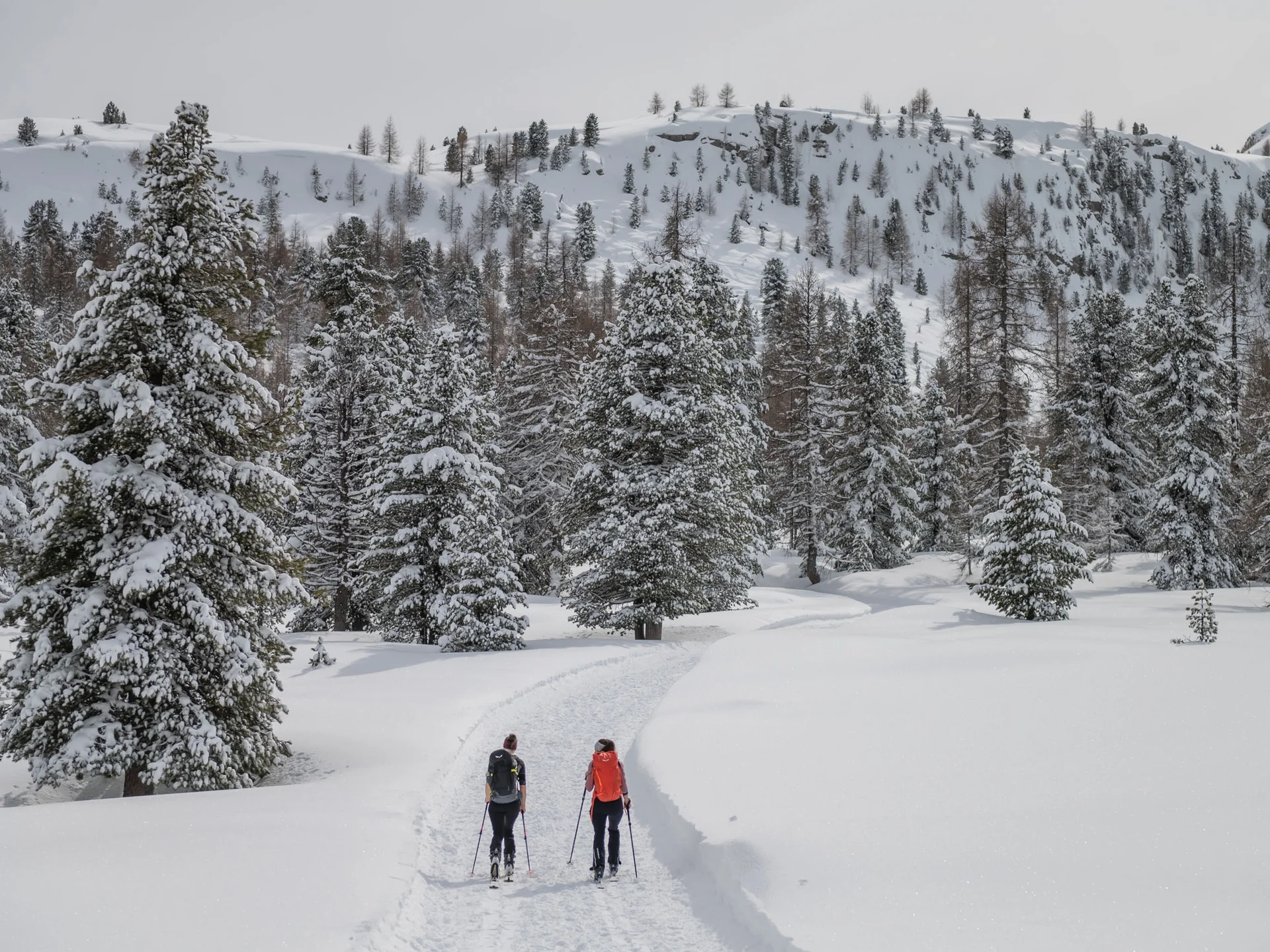 Naturparks Fanes-Sennes-Prags und Puez-Geisler | Chalet Löm Zwei Winterwanderer gehen auf einem verschneiten Weg durch einen bewaldeten Hang