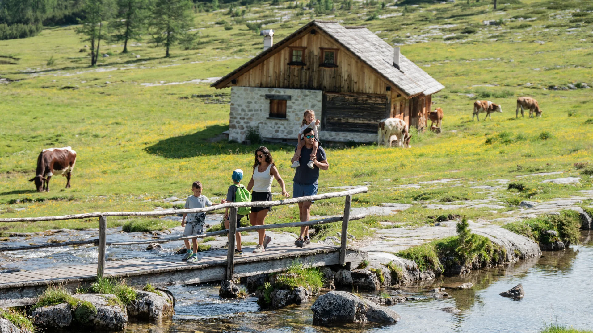 Familie überquert eine Holzbrücke vor einer Berghütte auf einer Alm mit weidenden Kühen