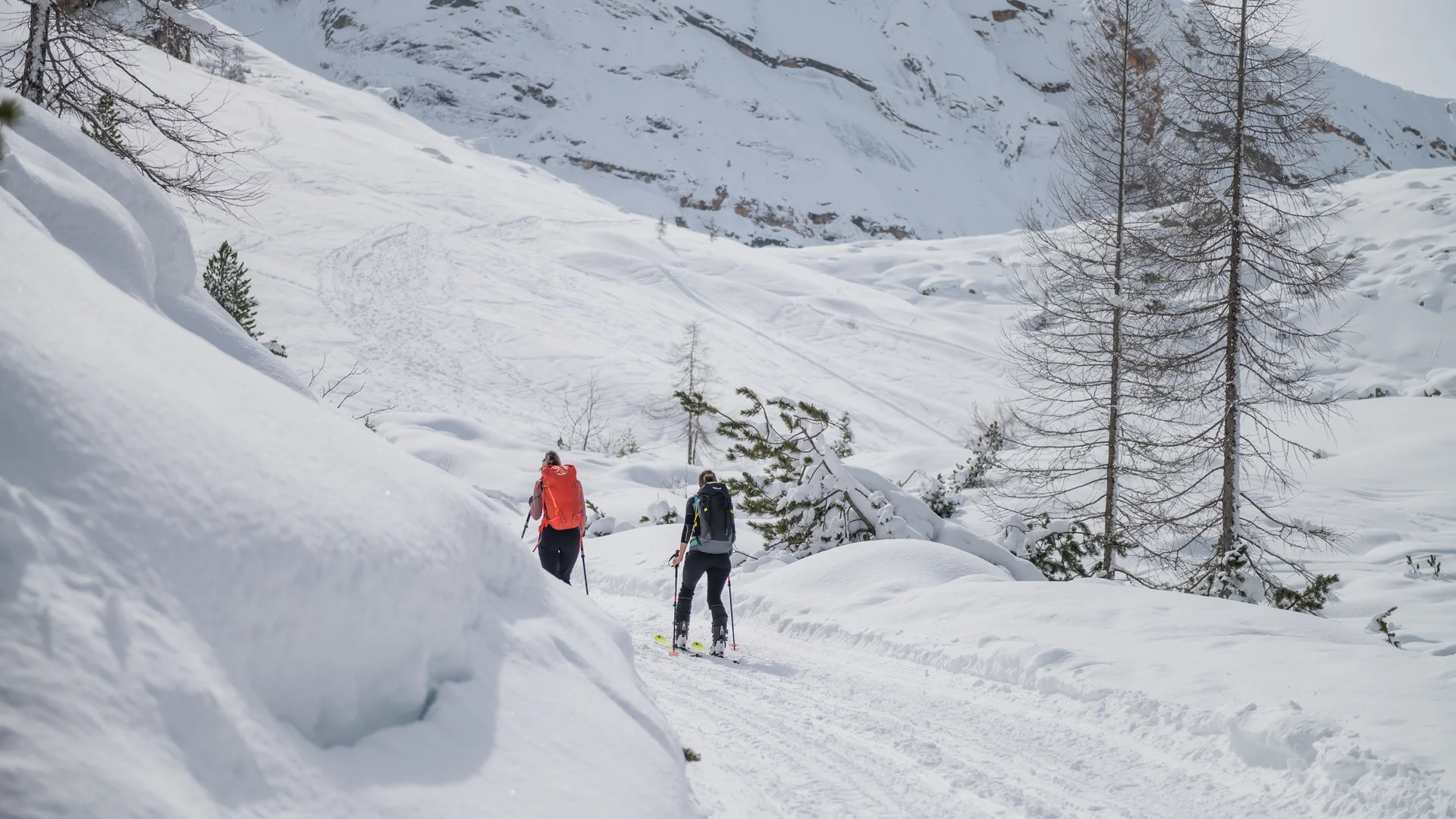 Zwei Skitourengeher steigen auf einem verschneiten Bergweg zwischen kahlen Bäumen bergauf