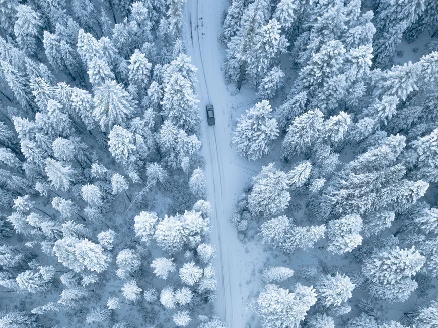 Auto auf einer verschneiten Straße, umgeben von schneebedeckten Bäumen